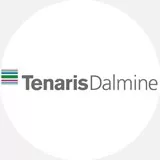 logo Dalmine S.p.A.