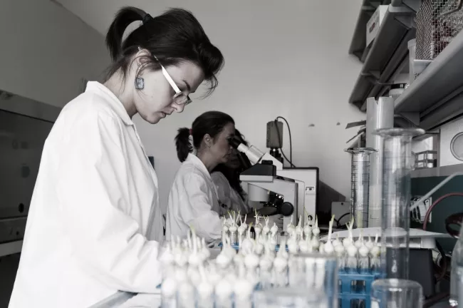 studenti in laboratorio